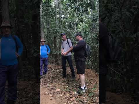 vc já conhecia a pedra do cabrito em Afonso Cláudio?? #explore #travel #shorts #nature #fyp