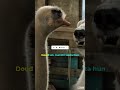 Funny Scene From Movie Dolittle Hindi HD Shorts Youtubeshorts Flickern