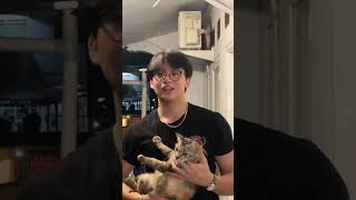 Download lagu Pacarku Hilang, Sounds Cogan Viral Tiktok 2023 #shorts #short #viral #trending mp3