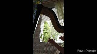 Summoning - Land of the Dead (harp cover)