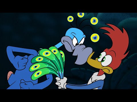 Capa de Pica-Pau rouba a pena de um pavão | Episódio Completo | Pica-Pau em Português