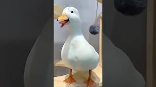 Download lagu Suara bebek ketawa #shortvideo #shorts #comedy mp3