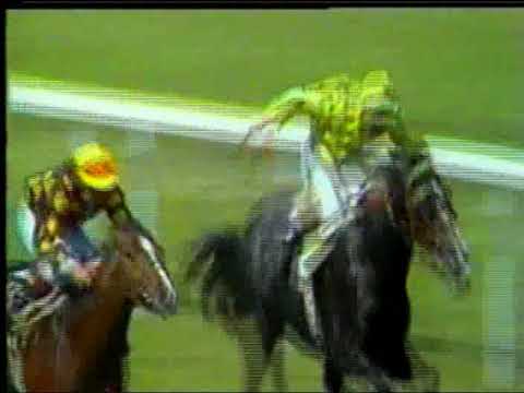 1985.06.16, nº 165 LZ (Sabel (2a ng, 2ª C) 1º Sir Kan, 2º Manewth, 3ª Mediterraneenne, 4º El Pitufo