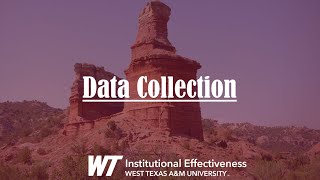 Assessment 101: Lesson 3.3 - Data Collection