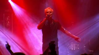 Neljä Ruusua -Veri -Sampea ja Samppanjaa (2015)