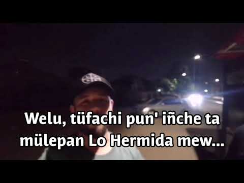 Wechekeche ñi trawün iñchiw, lo Hermida mew.