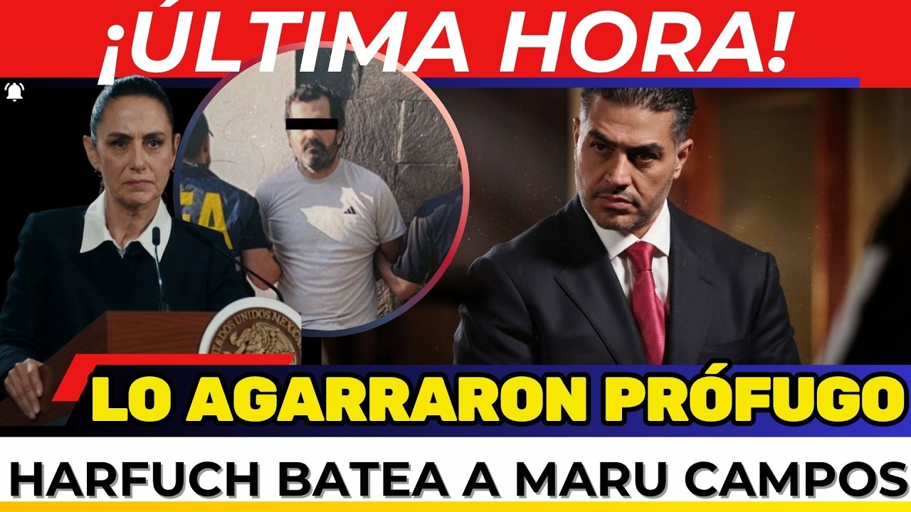 ¡DETIENEN A PRÓFUGO! Harfuch CONFIRMA TODO. Batea a Maru Campos. EEUU EN ALERTA