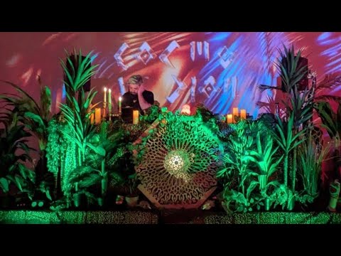 Sasha Sol - Cosmovision - Jungle Edition - Downtempo | Slow Rave2