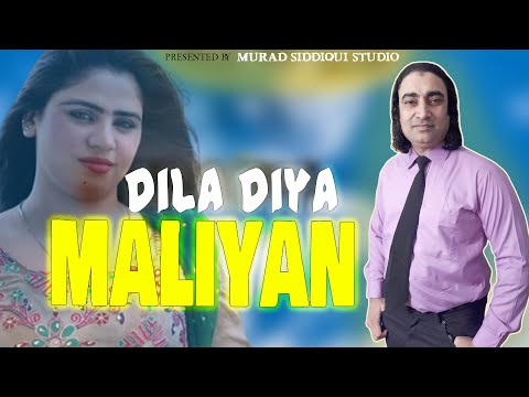 DILAN DIYAN MAILIYAN NE CHAN JAHIYAN SOORTAN - NASEEM ALI SIDDIQUI - MURAD SIDDIQUI STUDIO