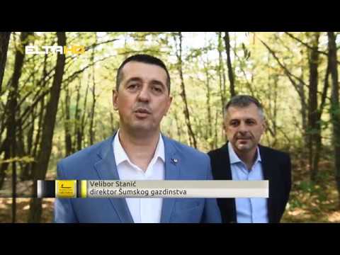 BL HRONIKA 23 10 18 - TRIM STAZA