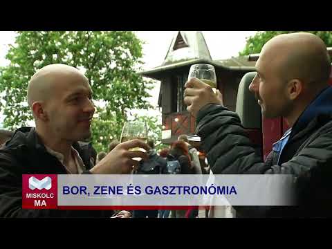 Videó előnézet