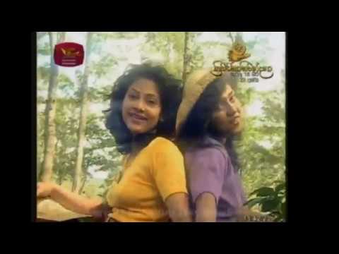 Jeewitheta Aruna Udawe-Champa Kalhari