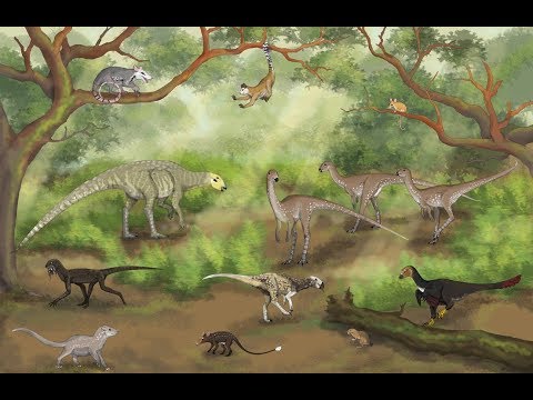 Speculative Evolution: Middle Eocene South America