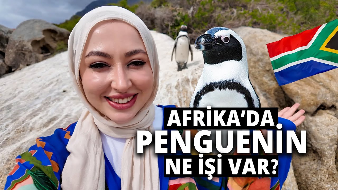 🇿🇦Herkes Afrika’yı Sıcak Sanıyor Ama… Penguenler Var!🇿🇦