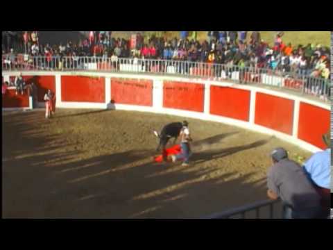 Conjunto Afición Sangre Grauina Vol.2 - Fiesta Gamarrina