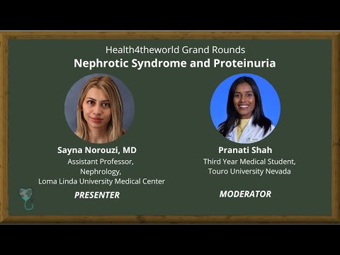 Nephrotic Syndrome and Proteinurias