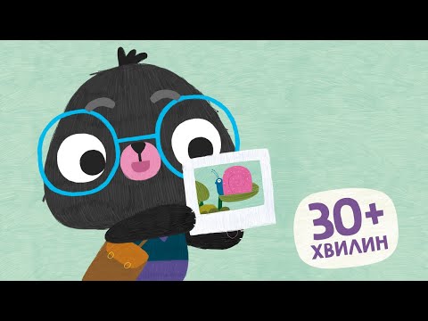 YouTube video placeholder