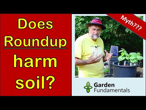 Does Roundup Harm Soil? 🧿️🌽🧿️ How Soon Can You Plant After Spraying?