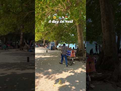 This is how a day in NEIL ISLAND looks like 🤩 Andaman and Nicobar Islands trip Port blair