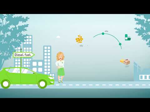 All about biofuels | Sustainable Energy