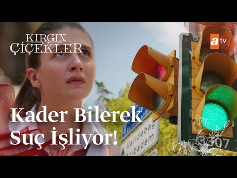 Kader'in başını belaya sokma çabası | Kırgın Çiçekler