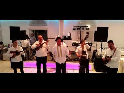 TS SVIRCI ft. IVAN JARIĆ - A ja nemam bijele košulje