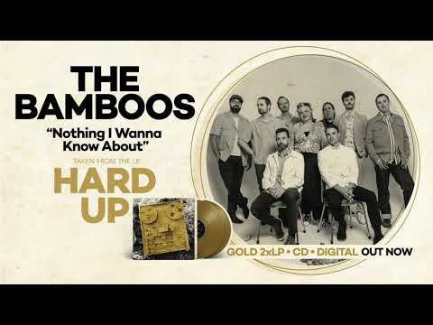 The Bamboos - Nothing I Wanna Know About (Official Audio)