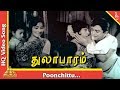Poonchittu Video Song |Thulabaram Tamil Movie Songs | Sharadha| A V M Rajan| Pyramid Music