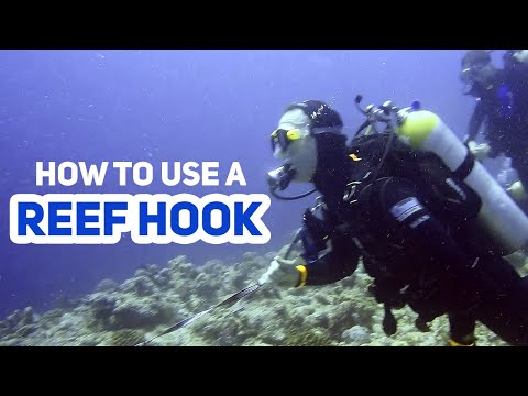 Drift Diving - How to Use a Reef Hook