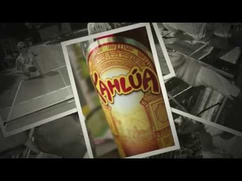 Teddy Bears Picnic 2013