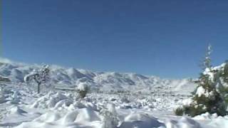 "THE BELLS" Harold Budd Clive Wright, from 'Candylion' 09