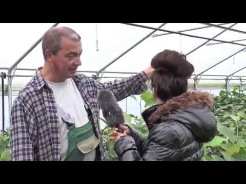 Gärtner Sönke - Folge 35: Magnolien - Teil 1