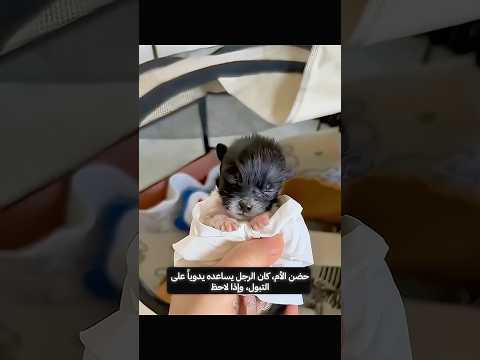 هجرته أمه في لحظاته الأولى.. لن تصدق من إعتنى به! قصة إنقاد تقشعر لها الأبدان