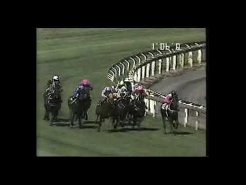 1990 Autumn Classic/Futurity Stakes/Carlyon Cup