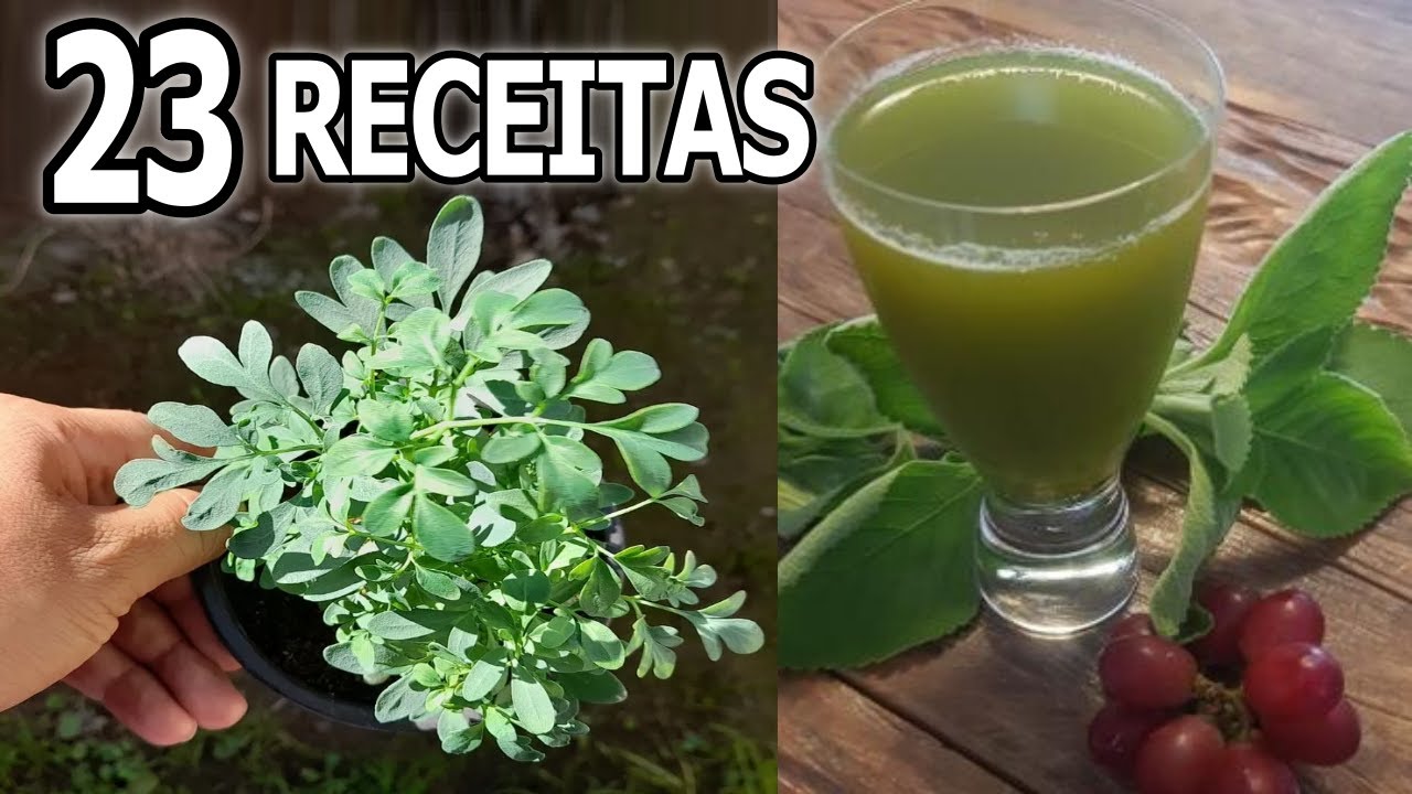 Limpa os Olhos, Combate Glaucoma, Catarata, Inflamações... 🌿 23 Receitas 💖 MARILENE SARAH FIALHO