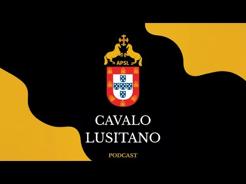 Daniel Pinto | CAVALO LUSITANO #3