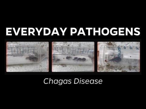 What is Chagas disease?