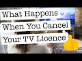 What Happens When You Cancel Your TV Licence