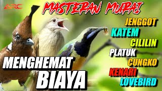 Download lagu MASTERAN MURAI BATU SUPER MEWAH SUARA JERNIH DAN BERJEDA mp3 Download lagu MASTERAN MURAI BATU SUPER MEWAH SUARA JERNIH DAN BERJEDA mp3