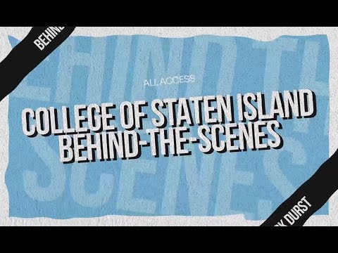 Dolphin Card Csi