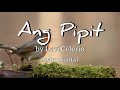 Ang Pipit by Levi Celerio | Instrumental | karaoke | OPM songs