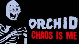 Spongebob sings Orchid - Aesthetic Dialectic