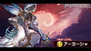 【グラブル】お試しオーキスマグナアーカーシャ　３ターン　１４０万