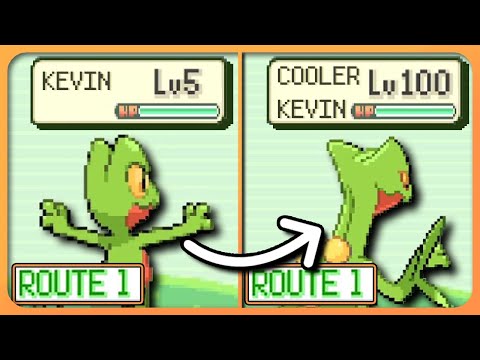 Pokemon Emerald Grinding to Lvl 100 on Route 1