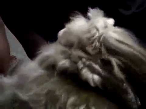 McDonald's at 5am...