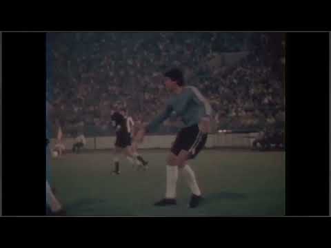 Petar Borota - FK Partizan