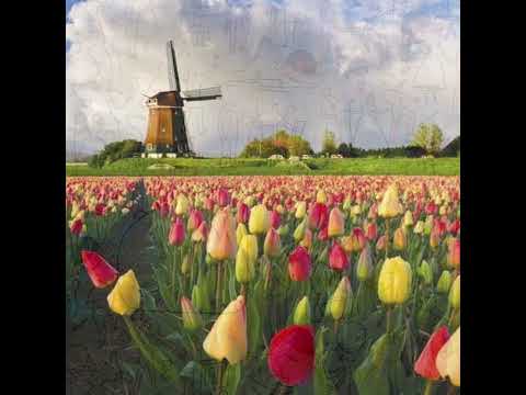 Jean Walter - Tulpen aus Amsterdam 1956  (Polydor  50-265) Werner Müller und das  Rias Tanzorchester