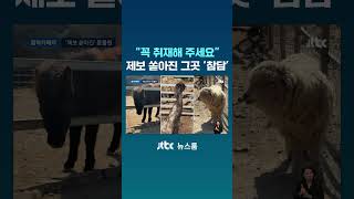 꼭 취재해 주세요 제보 쏟아진 그곳 '참담' #JTBC #Shorts