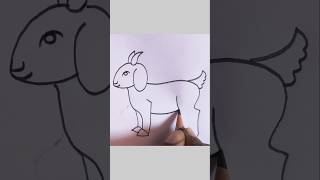 Goat Drawing Easy #pencilart #draw #art #shorts