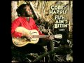 Corey Harris - You Got To Move